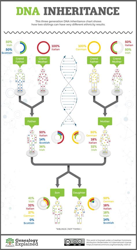 will siblings have the same ethnic dna